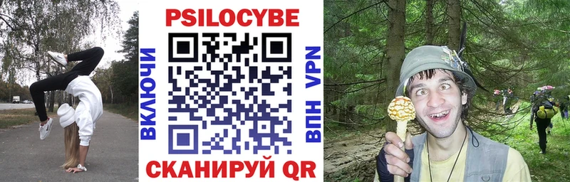 Псилоцибиновые грибы мицелий  Унеча 